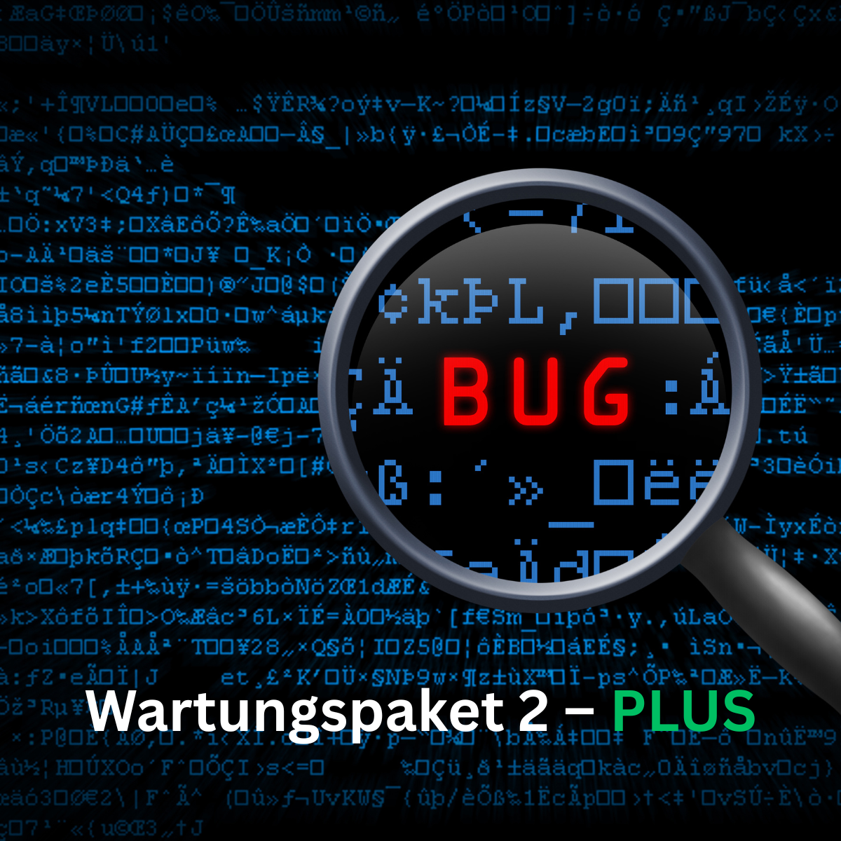 Onderhoudspakket 2 Uitgebreide onderhoud / updates en systeemonderhoud