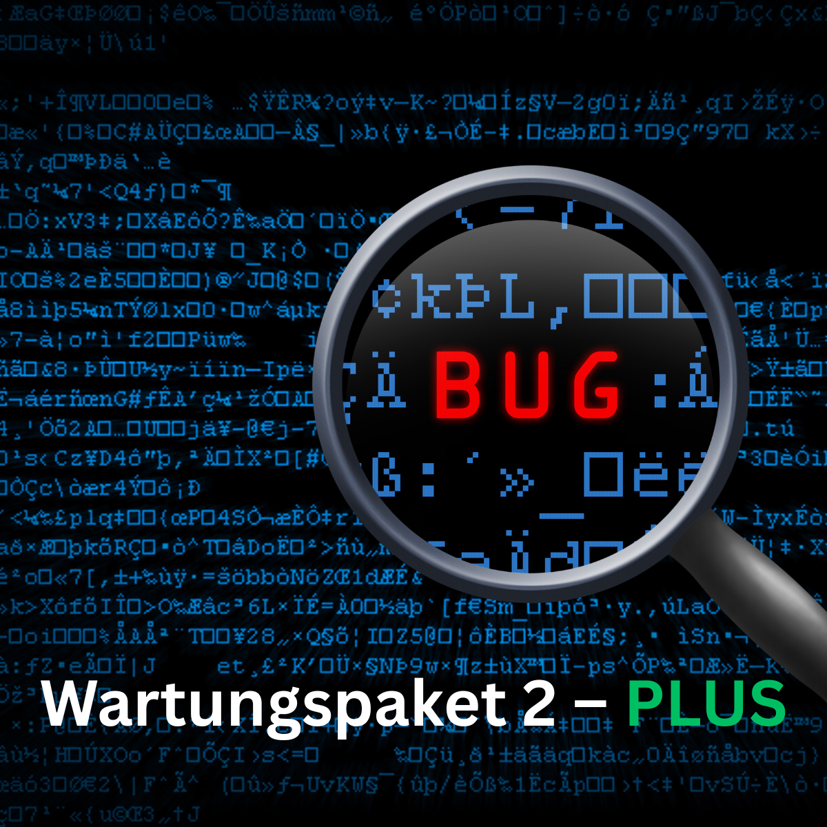 Onderhoudspakket 2 Uitgebreide onderhoud / updates en systeemonderhoud