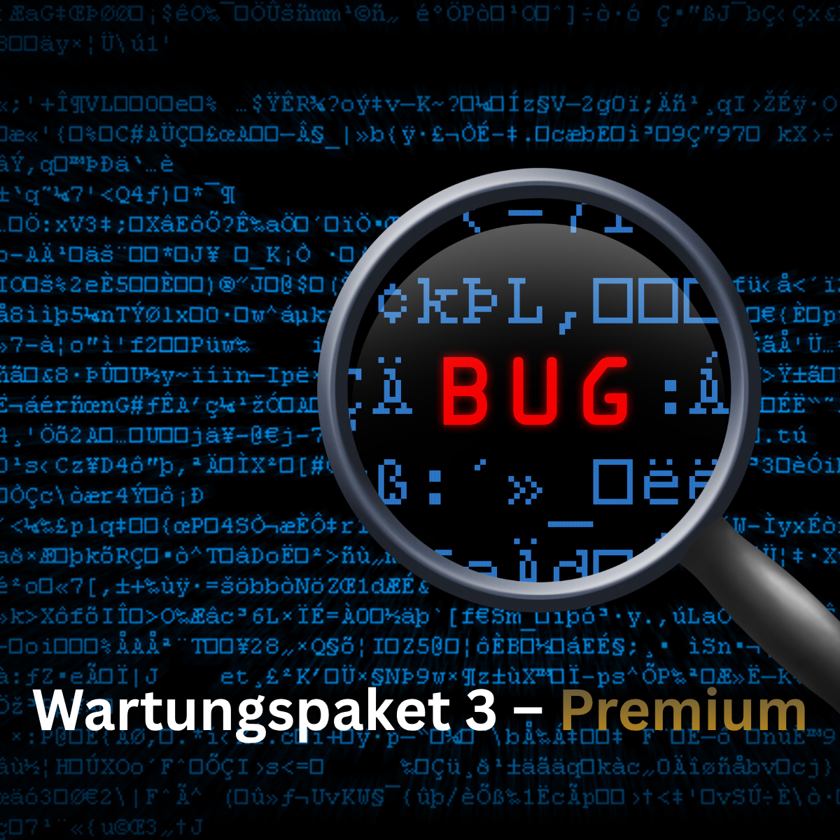 Onderhoudspakket 3 Premium / updates, nieuwe functies en aanpassingen