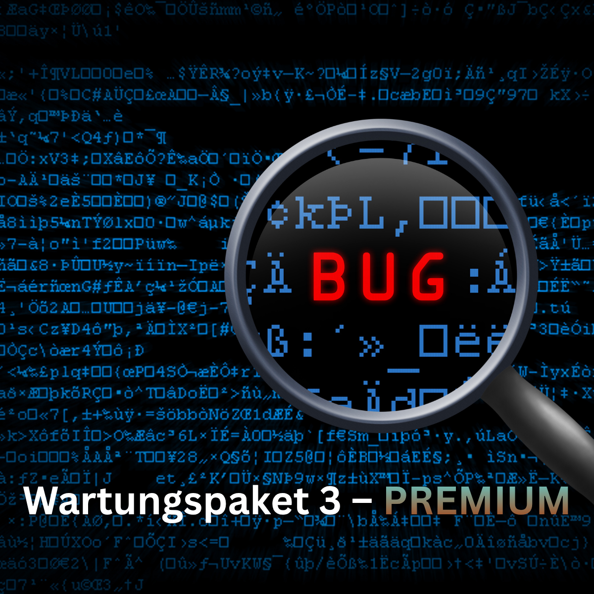 Onderhoudspakket 3 Premium / updates, nieuwe functies en aanpassingen